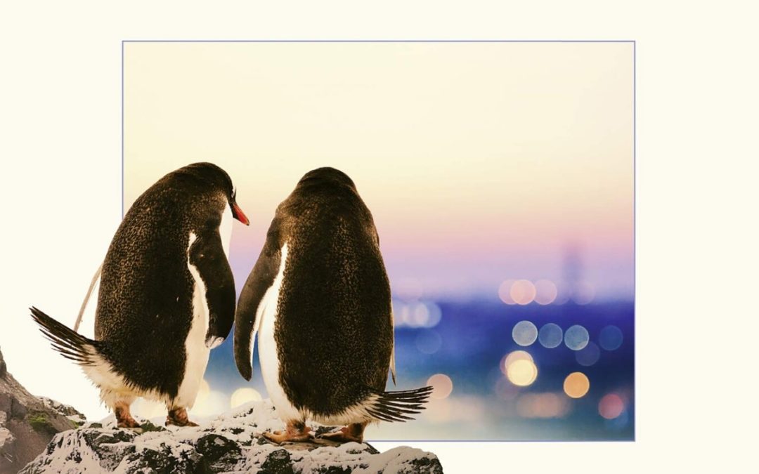 “Fuori dall’hype” dei Pinguini Tattici Nucleari