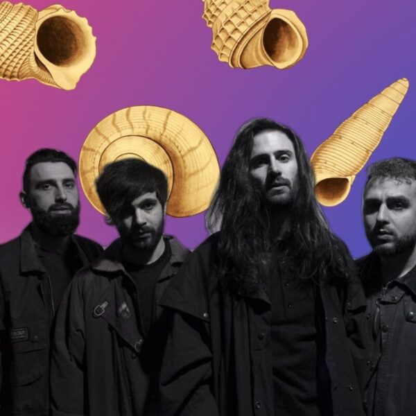 come conchiglie