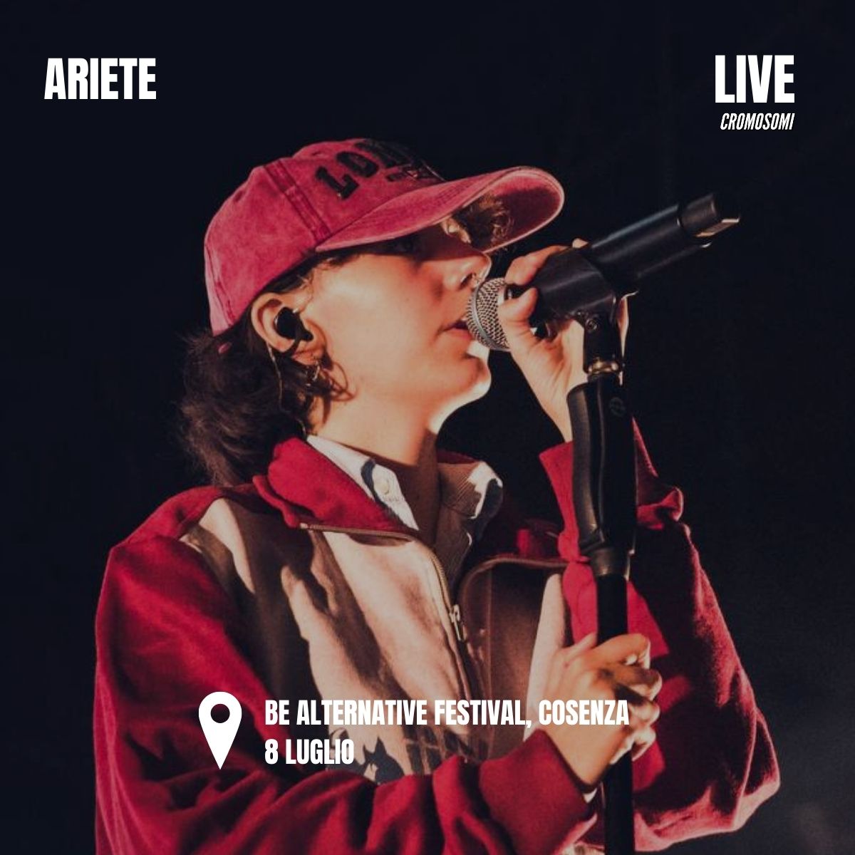 ariete cromosomiintour