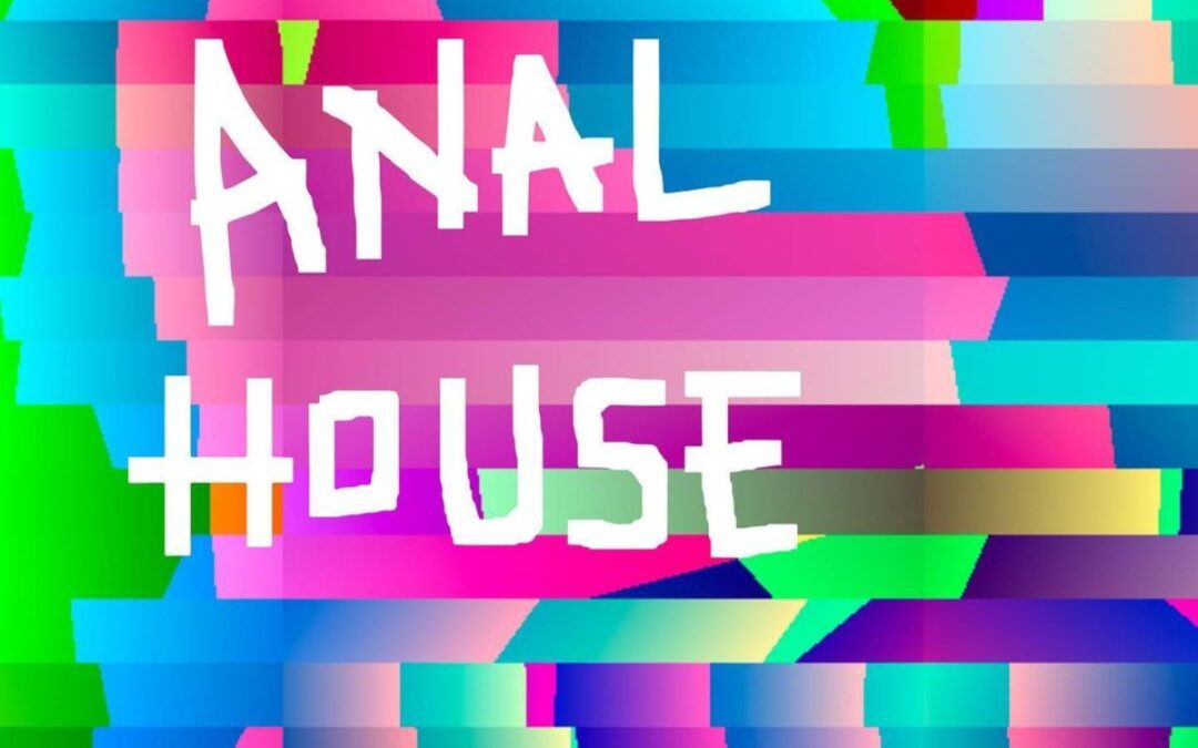 ANAL HOUSE di Pop X, un viaggio musicale a 120 bpm attraverso atmosfere algoritmiche