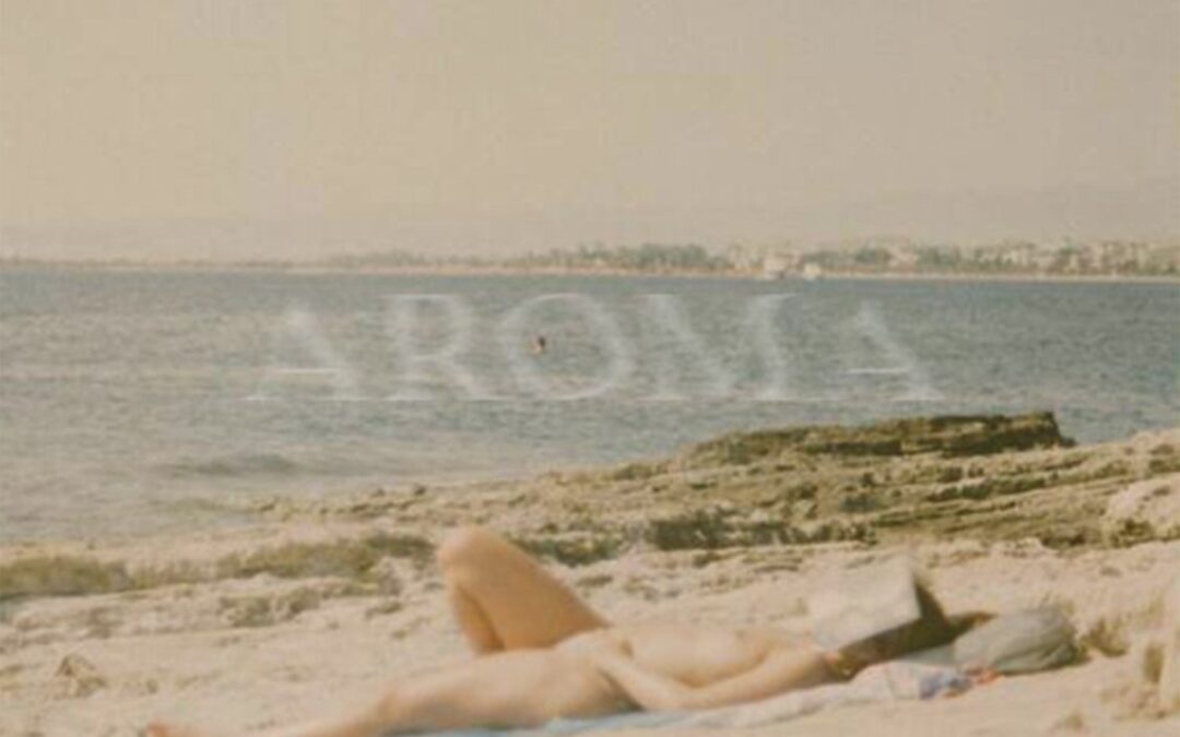 M.E.R.L.O.T e l’Aroma della malinconia