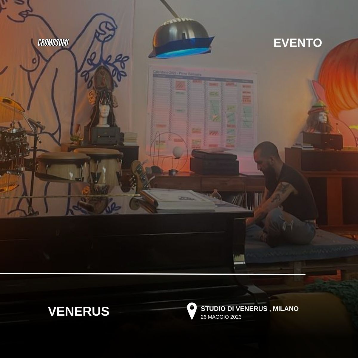 venerus