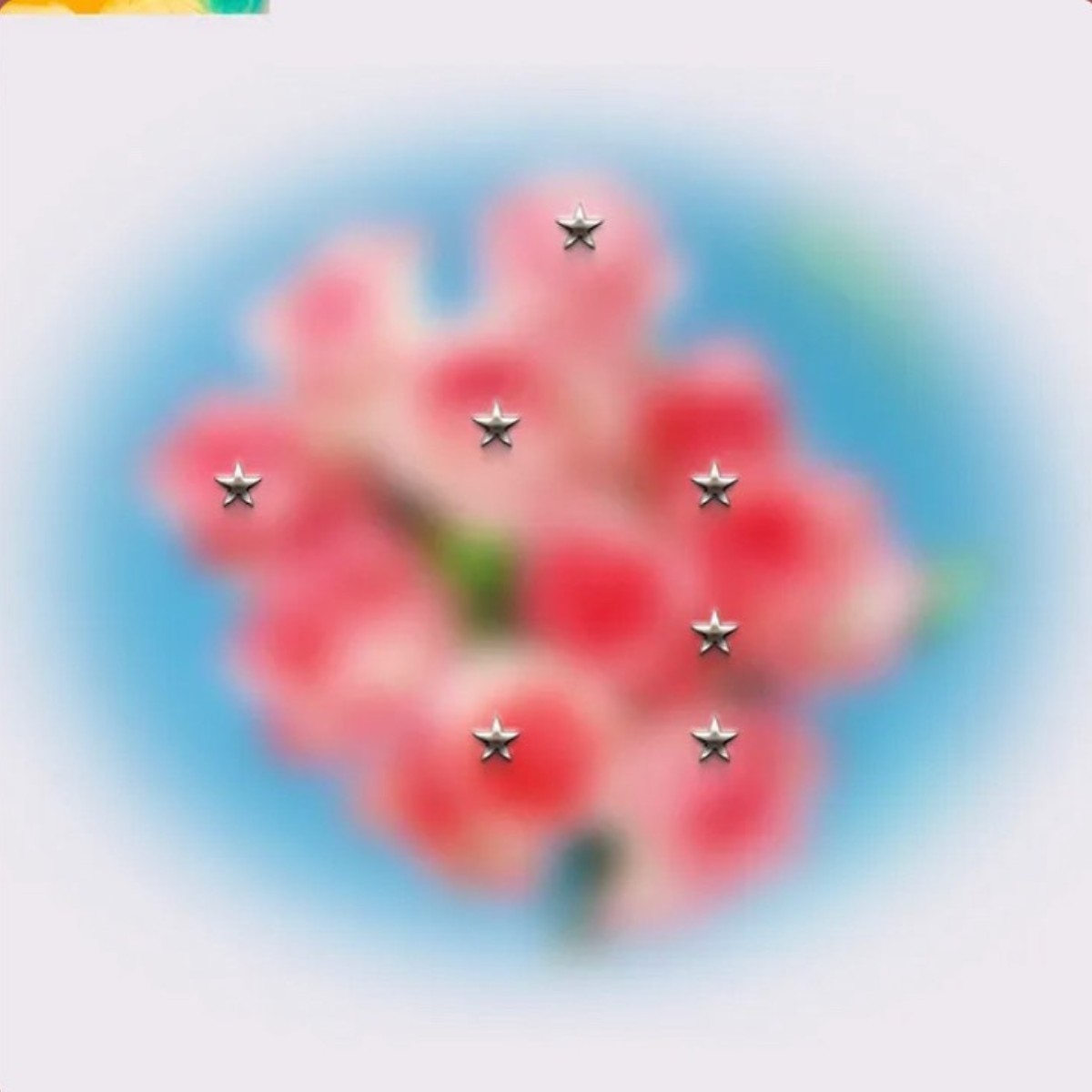 Le pareti in questa camera