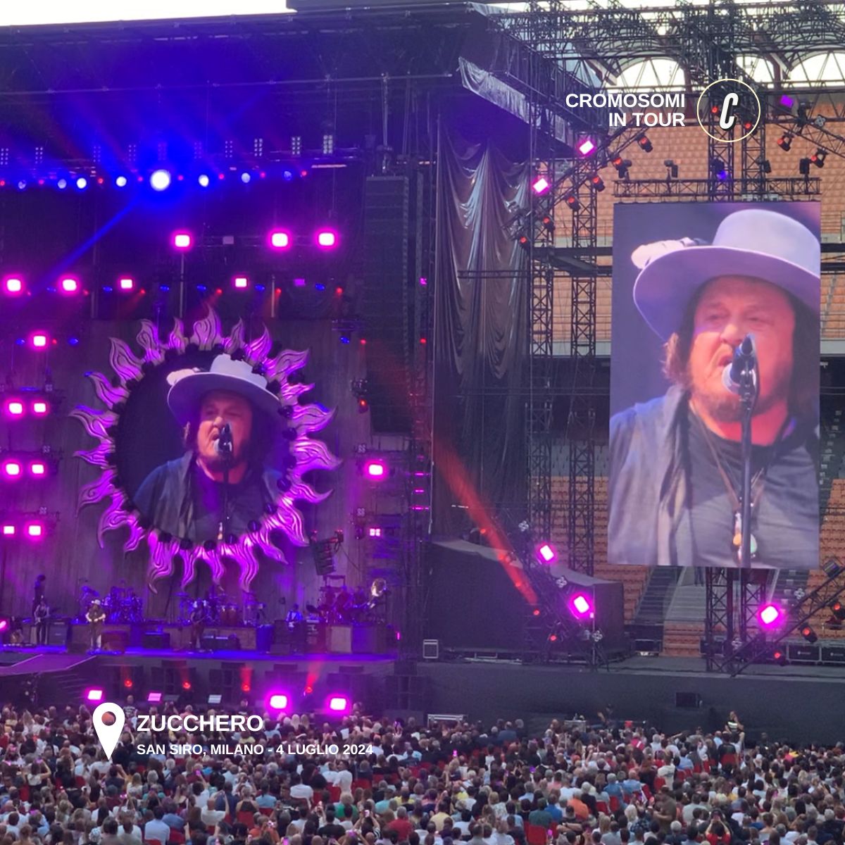 Zucchero San Siro Zucchero San Siro