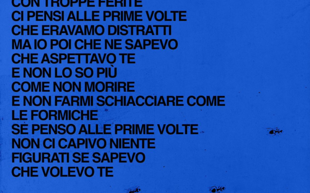 gIANMARIA: Noi, “Formiche” nel caos della vita
