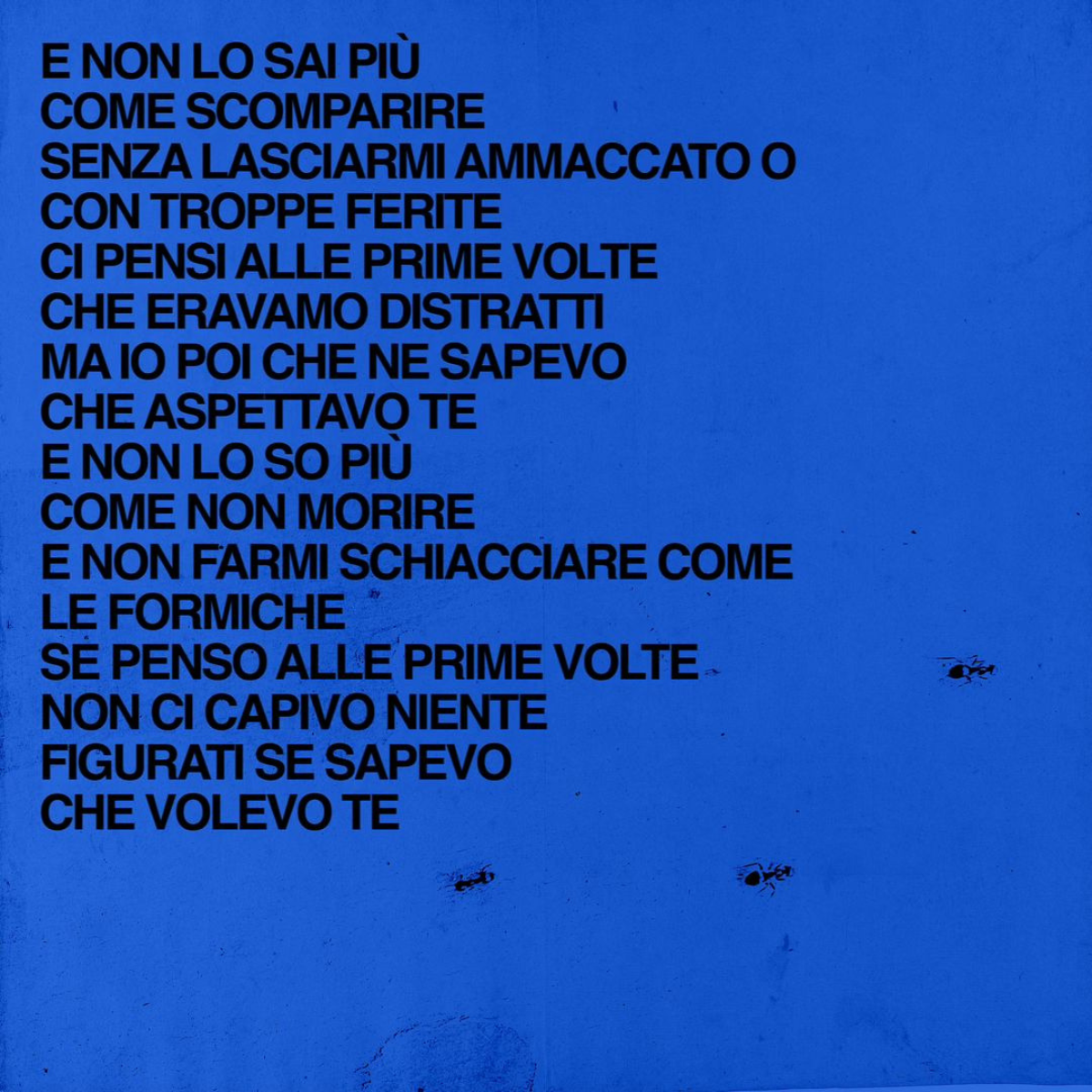 gIANMARIA formiche