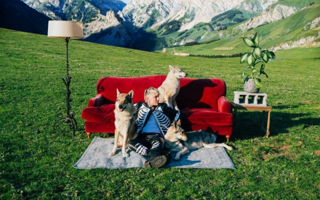 “CANI RANDAGI” segna il ritorno de Il Tre