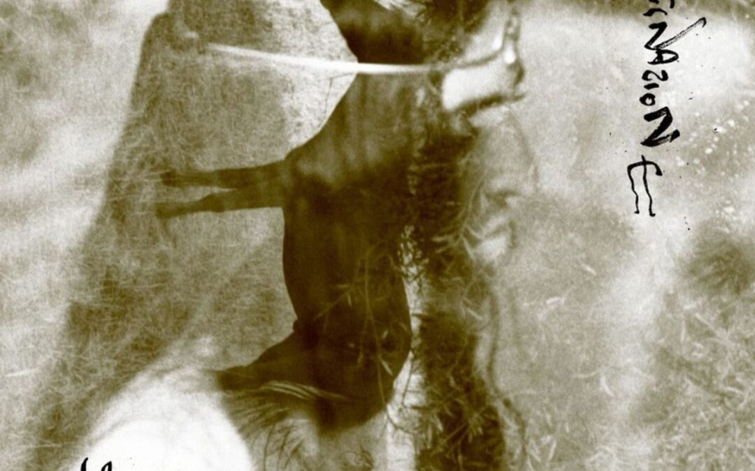 Joan Thiele, “Allucinazione” è il suo manifesto di libertà