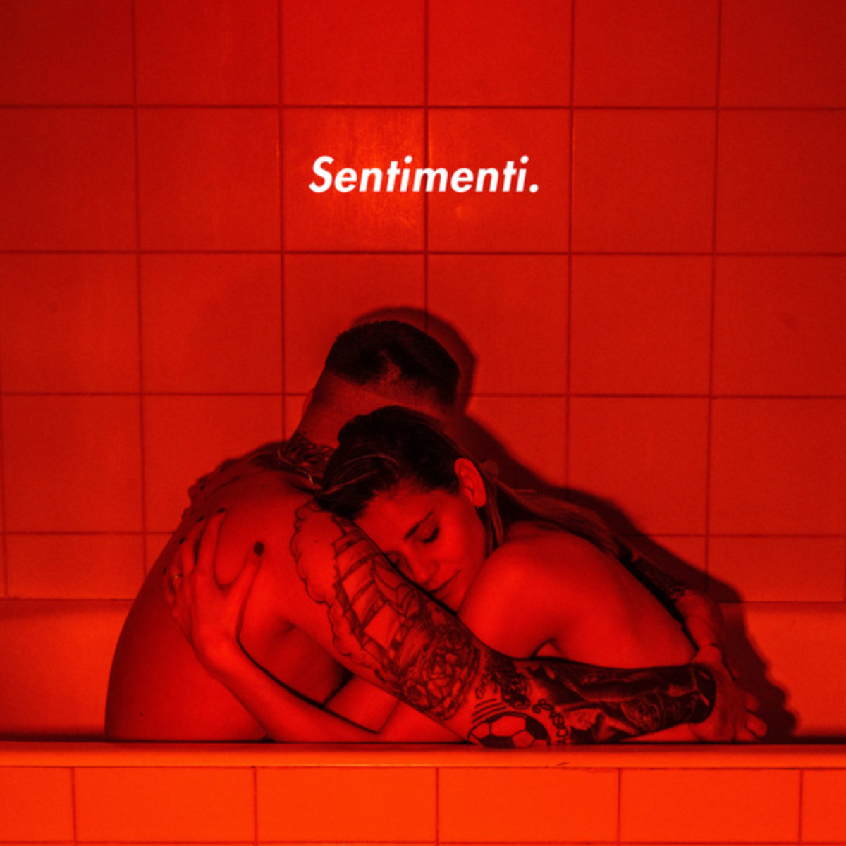 Briga_CromosomiMedia