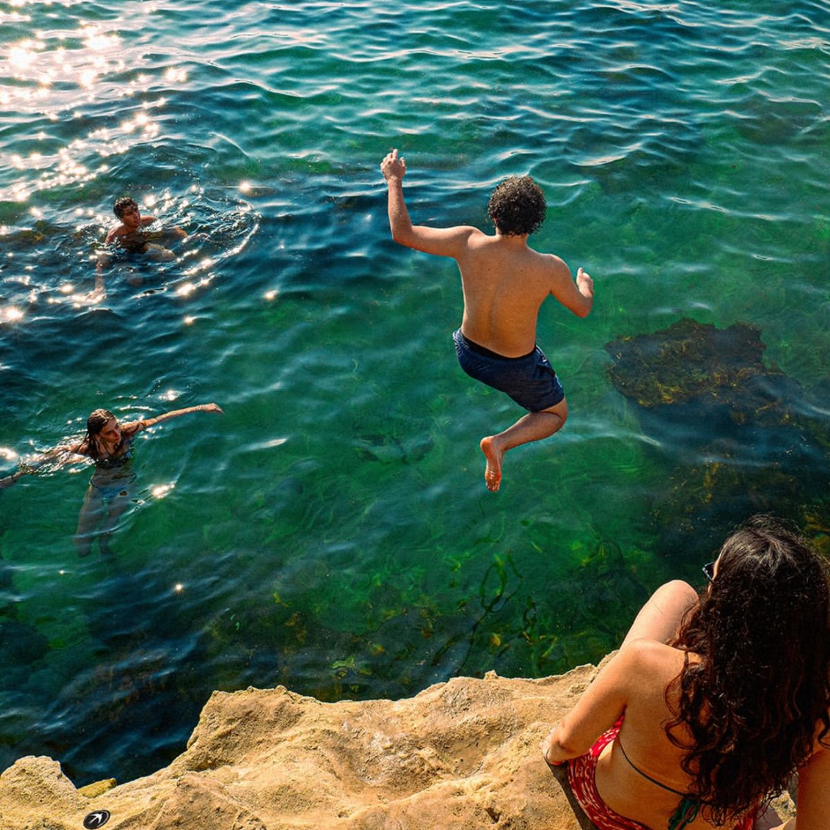 rondine – vivi più che mai