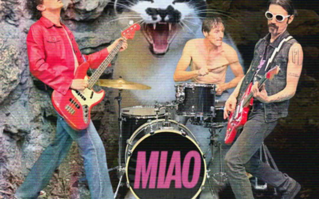 “Miao”, gli Zen Circus, una carezza per tutti i randagi