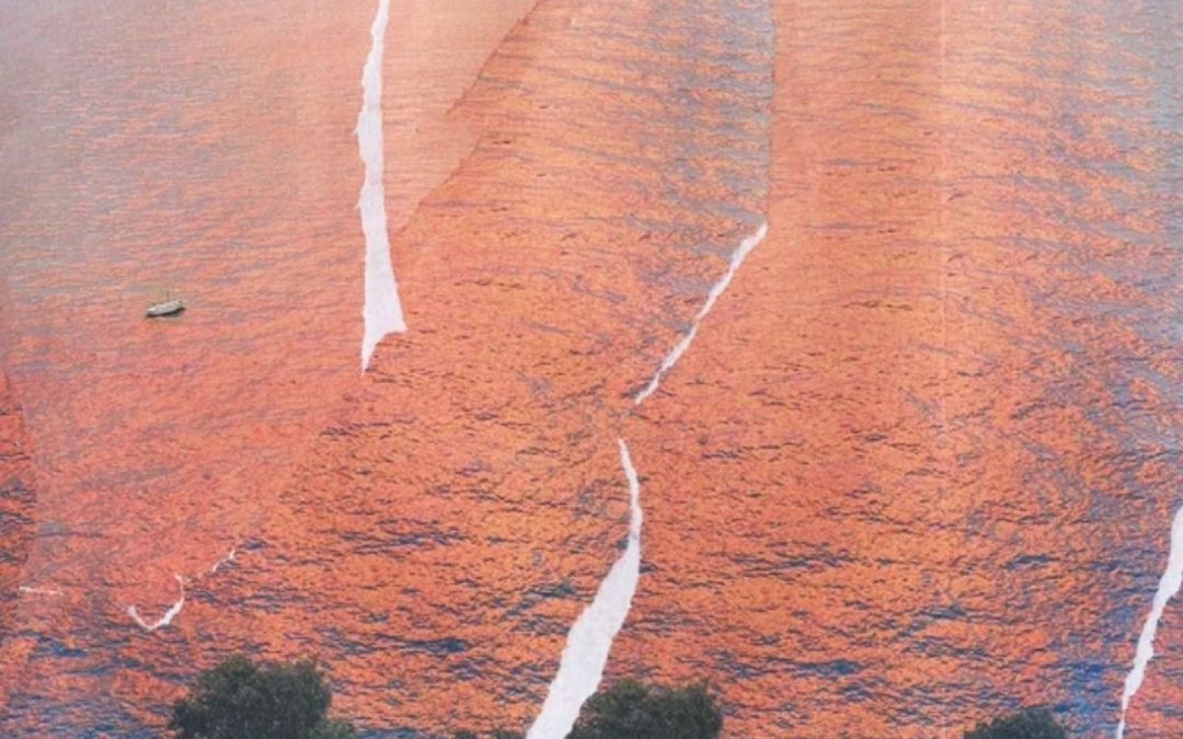 Tropico ci ha catturato l’anima ancora una volta: insieme, soli e disperati. Ed è meraviglioso