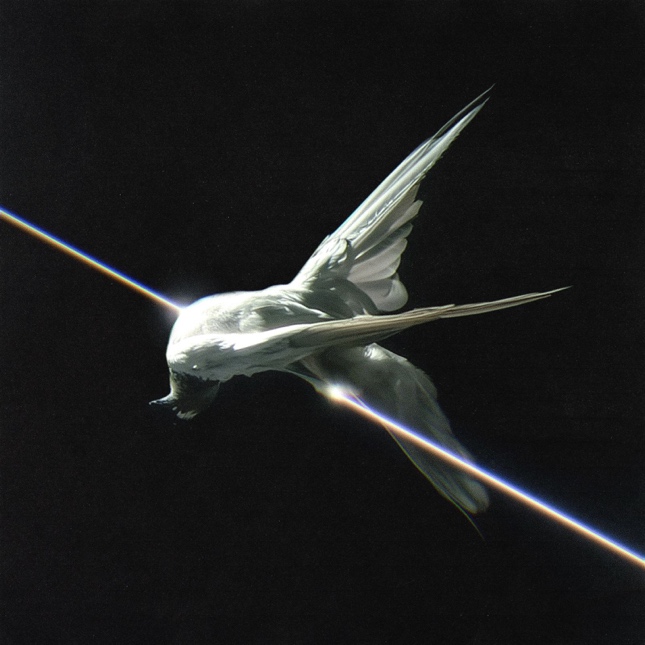 La nuova wave del clubbing: i sold out di Tredici Pietro a Roma e Milano