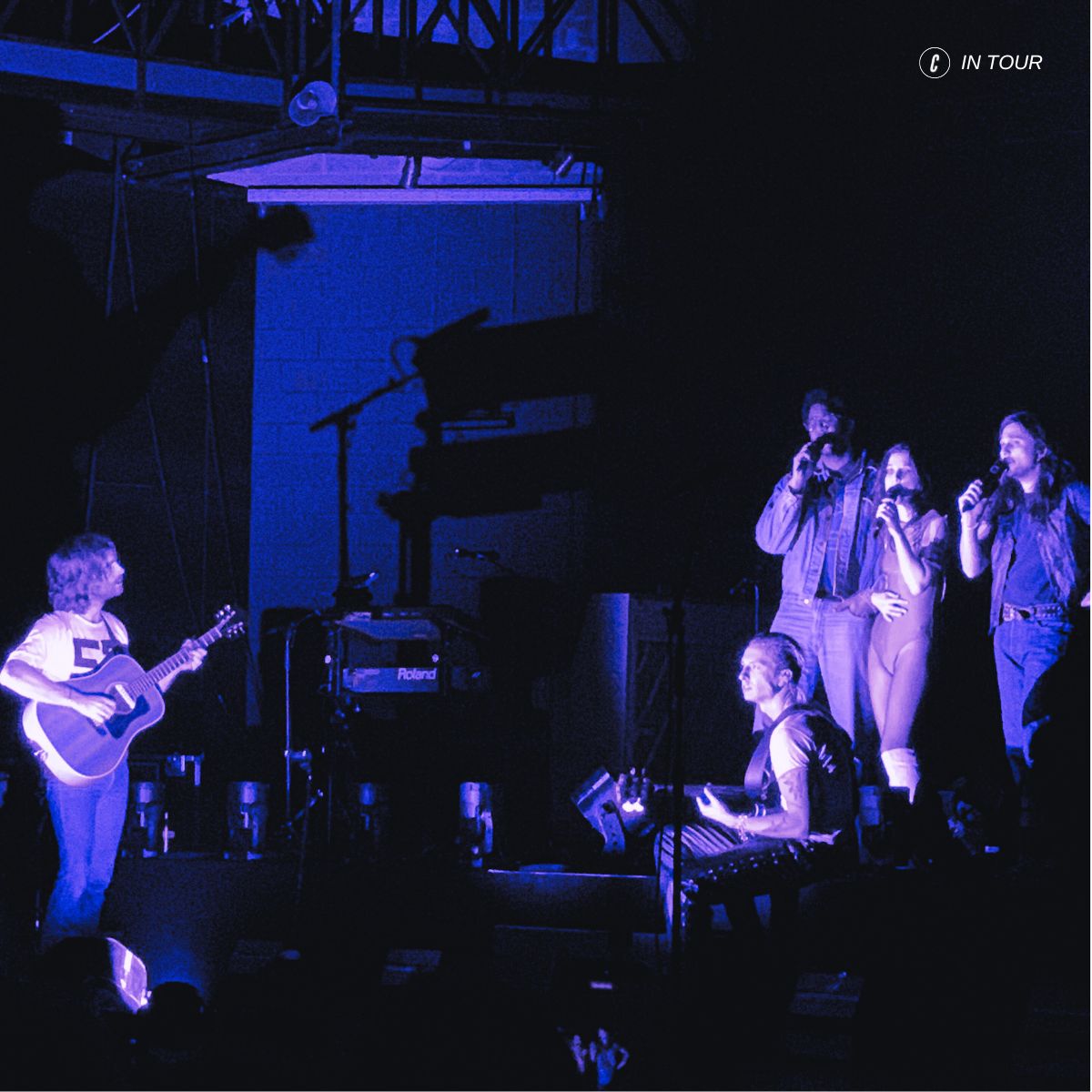 I Wolf Alice hanno raggiunto la perfezione sul palco