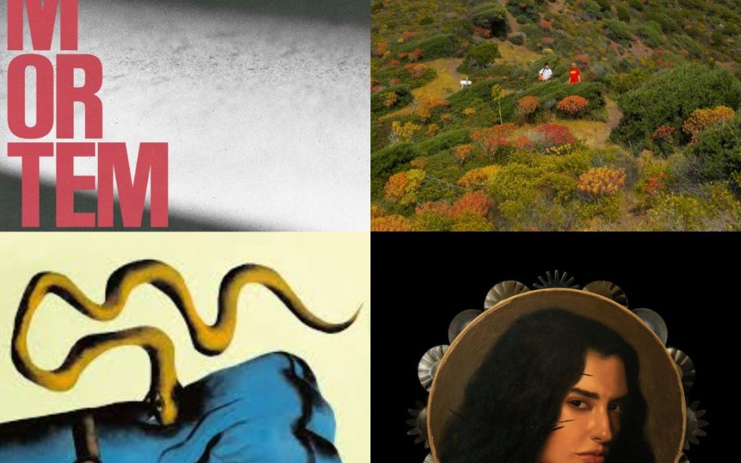 Playlist per salutare il 2025: com’è suonato, quest’anno?