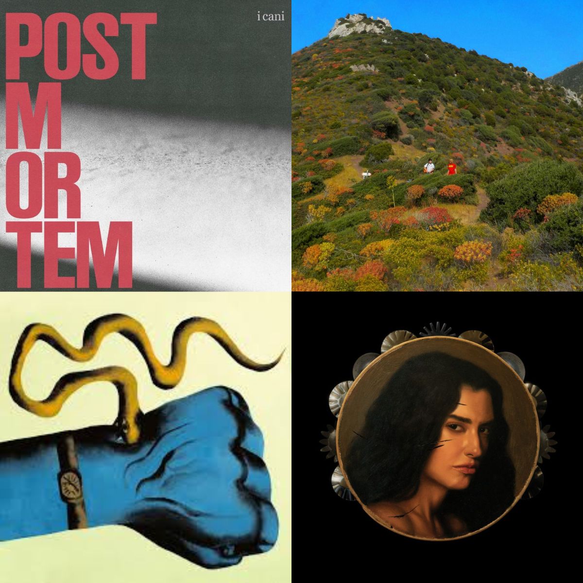 Playlist per salutare il 2025: com’è suonato, quest’anno?