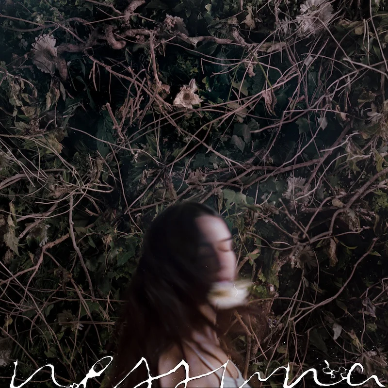 Nessuna: un nuovo viaggio nell’universo di Altea