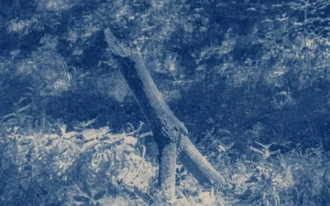“Al suo riposo” e “In luce”, i nuovi singoli di Gaia Banfi 