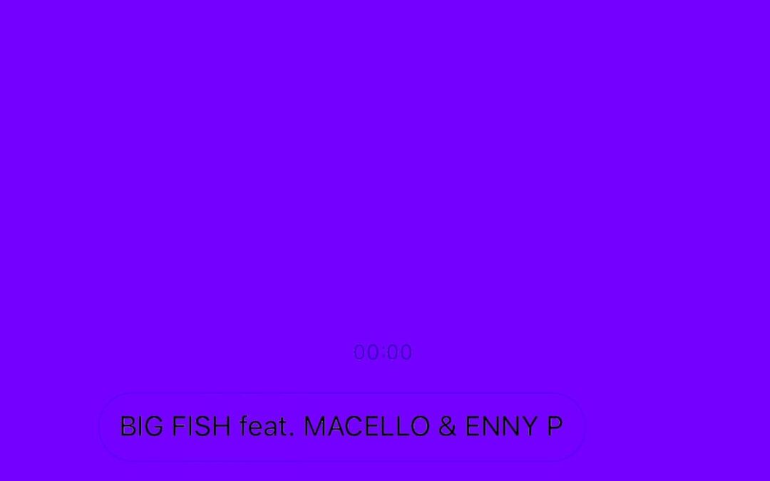 Big Fish rivoluziona la trap nel nuovo singolo “PRESSING” con Macello ed Enny P