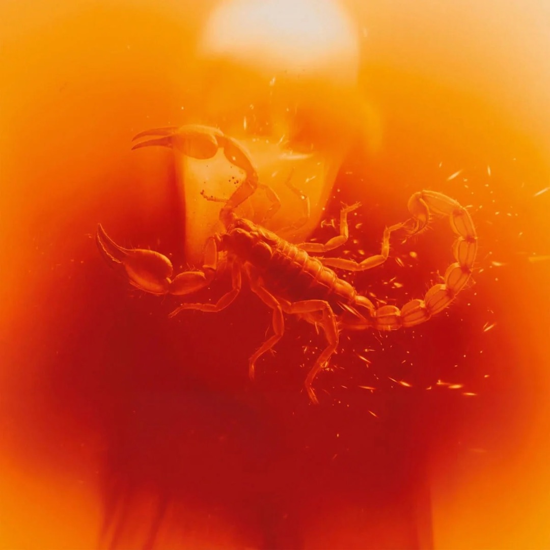 Scorpio Season: cinque canzoni per chi vive senza mezze misure